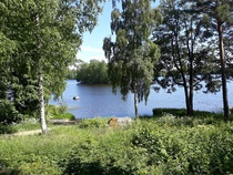 Lotilan kartanon rantaa. Taustalla Kanisaari.